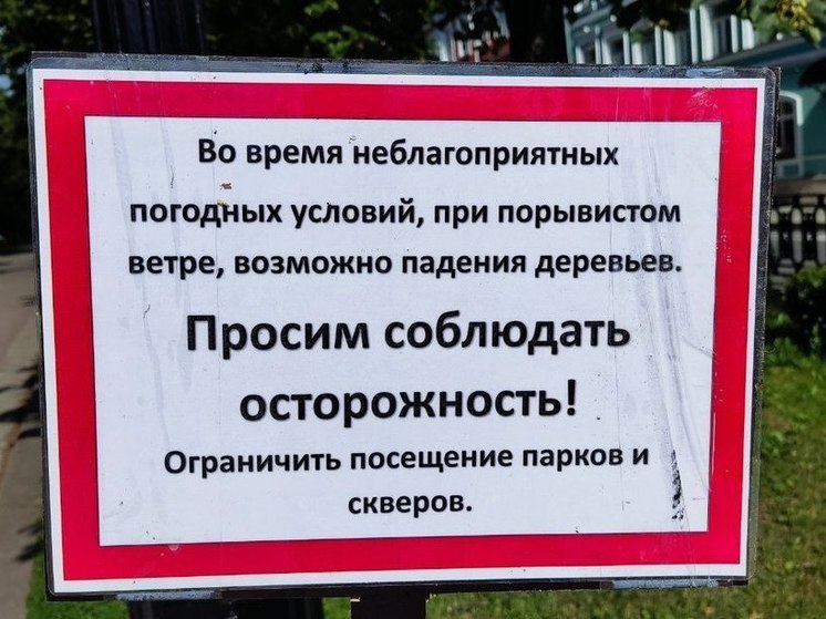В ЛСР уточняют обстоятельства падения крана на проспекте Большевиков