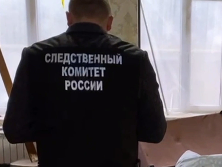 СК по Курской области завершил расследование дела об убийстве куряниным дочери, жены и матери