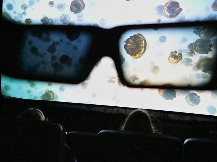 5-D кинотеатр начнет работать в Приморском океанариуме