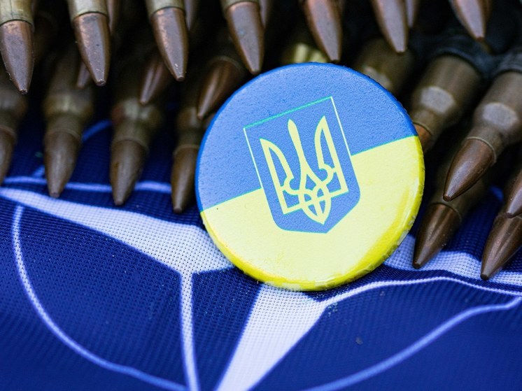 WSJ: НАТО направит чиновника на Украину координировать поставки оружия