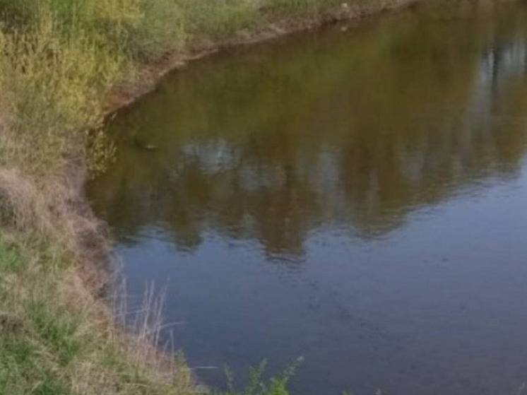 В Алтайском крае в пруду утонул 14-летний подросток