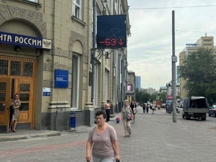 В Новосибирске 1 июля уличный термометр показал аномальные -63 градуса