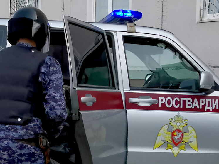 Избившего в ТЦ девушку и охранника сахалинца задержали