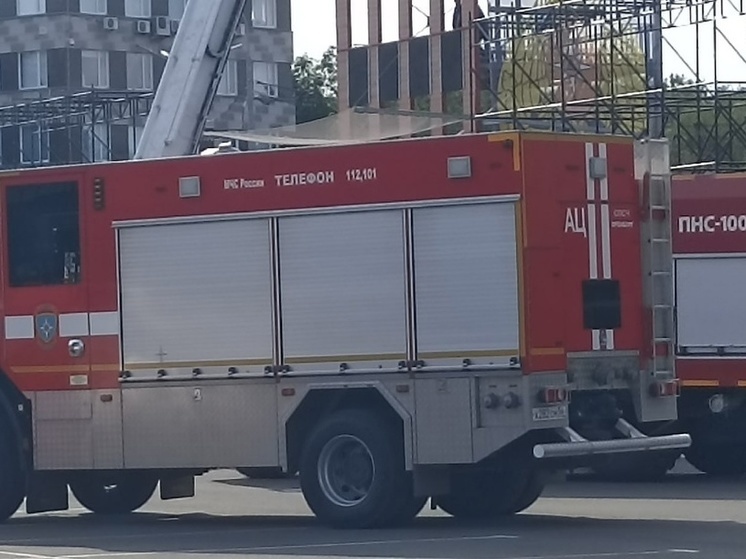 В Тоцком районе на пожаре погибли два мужчины