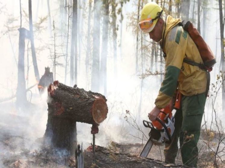 Количество и площадь лесных пожаров сократились на Чукотке