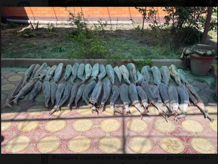 Дагестанская жительница лишилась рыбы на 5 млн