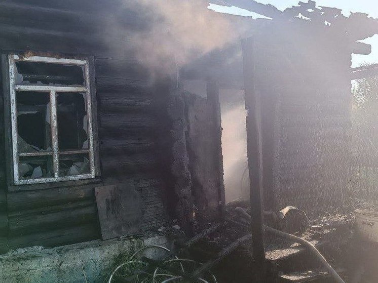 Пенсионерка с сыном погибли на пожаре в Забайкалье