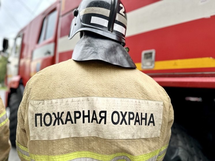 МЧС: Два человека пострадали на пожаре в Пителинском районе Рязанской области