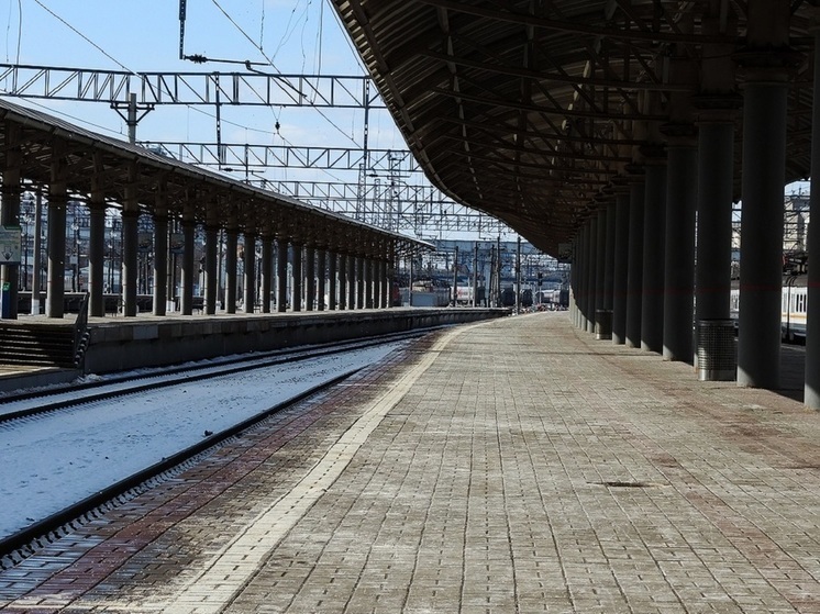 Мужчина погиб, попав под поезд на юго-востоке Москвы