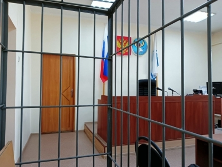 Житель Новокузнецка отправится в колонию за сексуальное насилие над семилетней девочкой на Алтае
