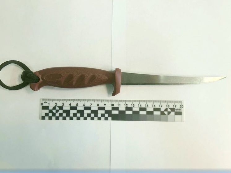Алиментщик в Карелии угрожал ножом приставу