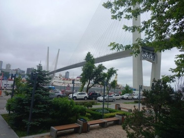 Золотой мост во Владивостоке начнут ремонтировать в августе