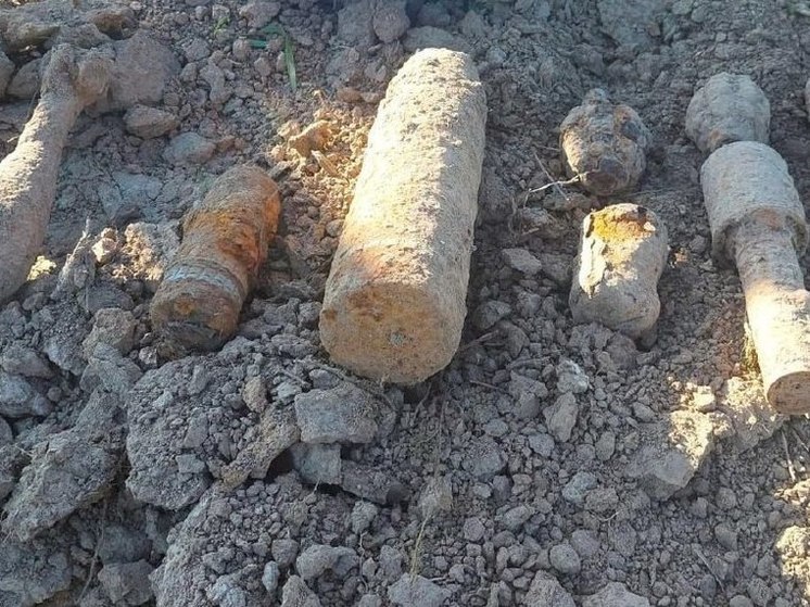 В Подмосковье нашли боеприпасы времен Великой Отечественной