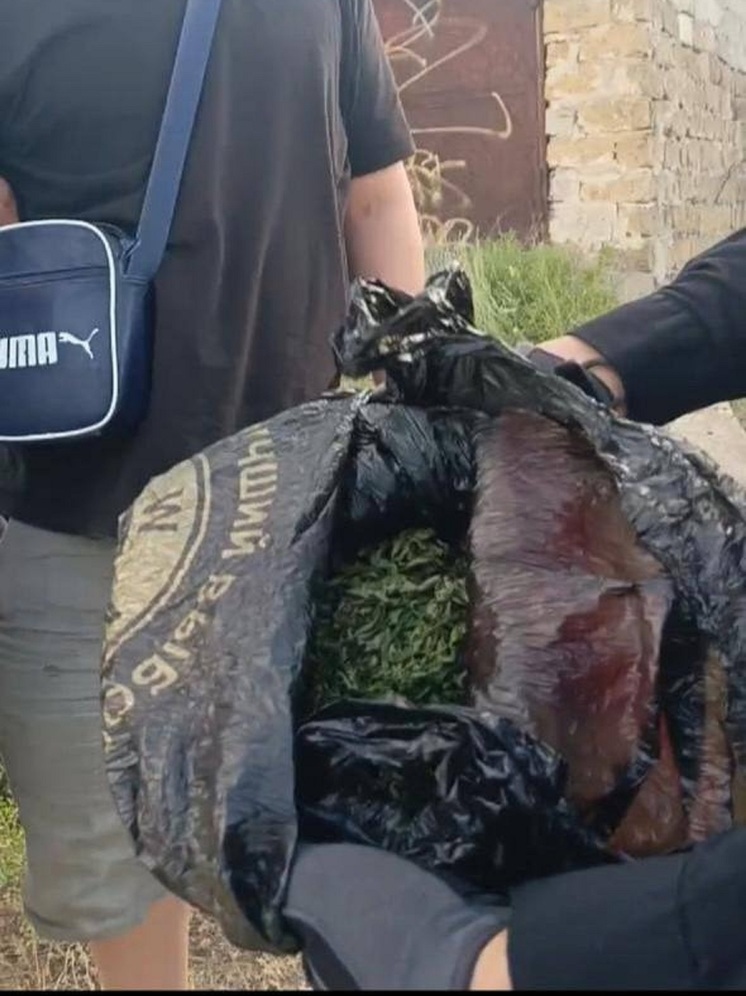 Двоих элистинцев задержали с наркотиками
