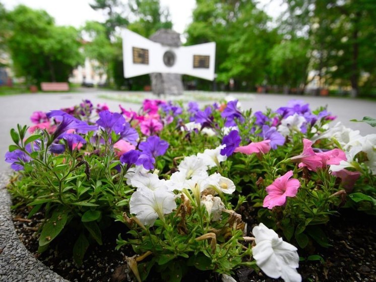 Мурманск украсят более 100 тысяч цветов