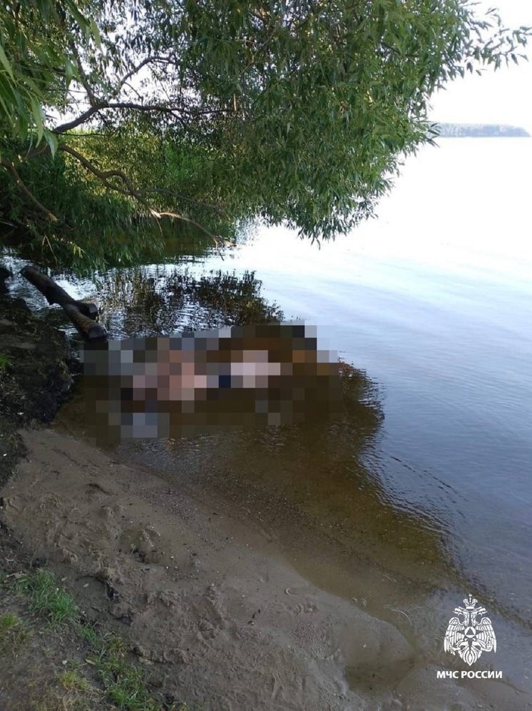 Появились фотографии с берега Волги в Тверской области, где нашли тело мужчины