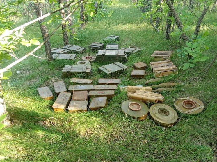 В ЛНР в лесу нашли схрон с оружием