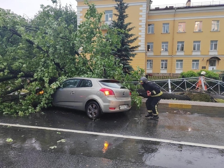  Поваленные ураганом почти 300 деревьев убрали с петербургских улиц