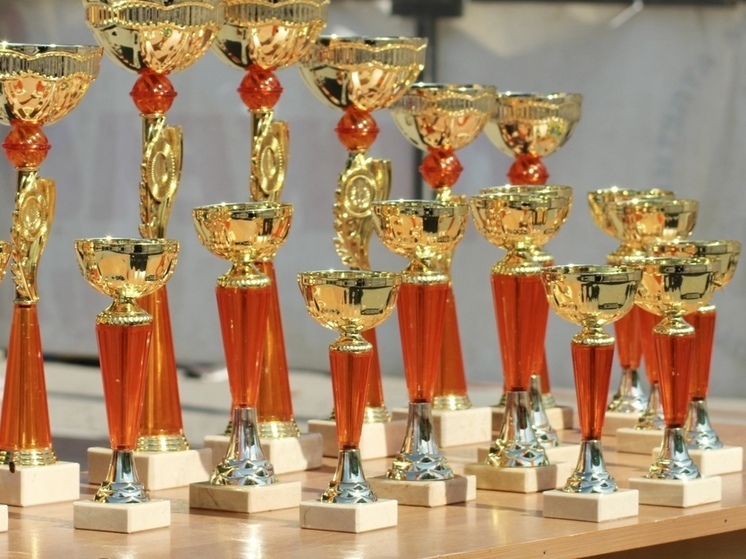 Тулячки выиграли золото в финале V фестиваля Всероссийского комплекса ГТО