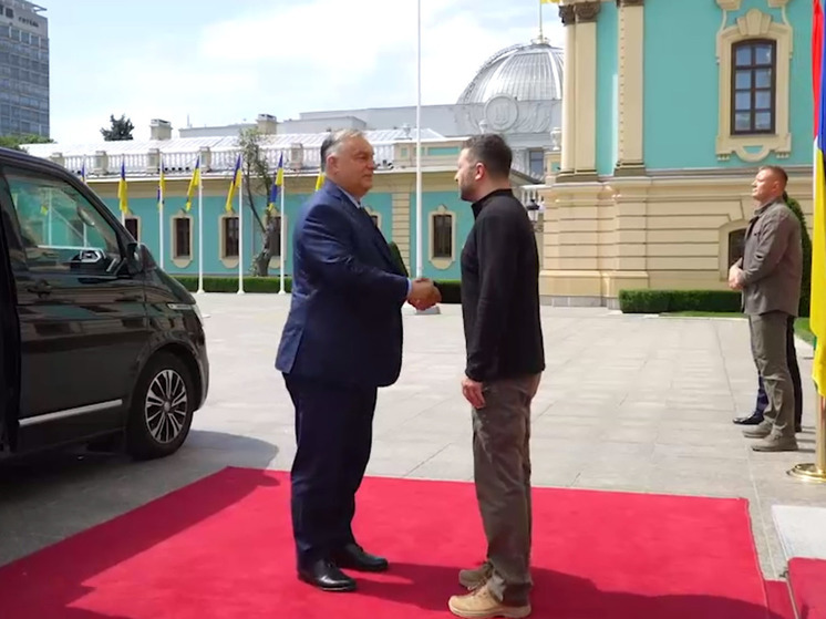 Зеленский обсудил с Орбаном вопросы гуманитарной сферы и двустороннее сотрудничество