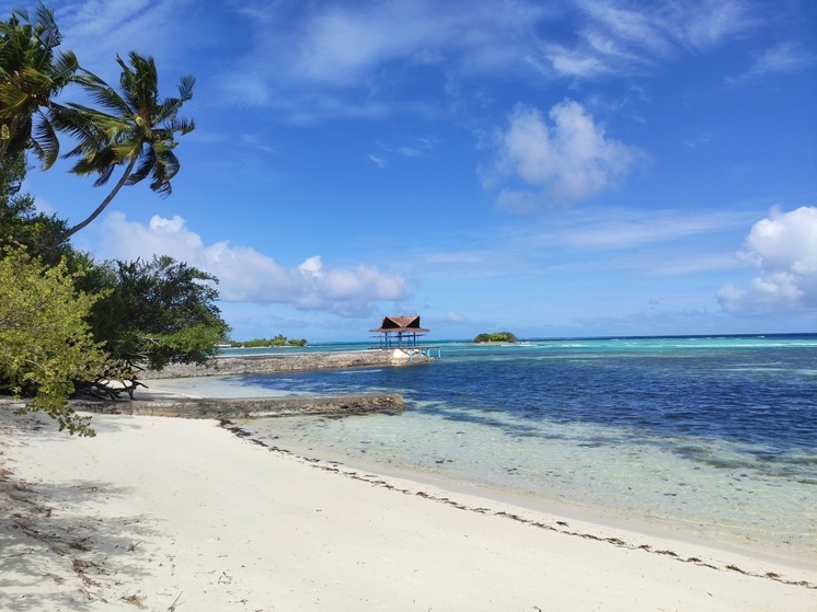 Турэксперт Ансталь посоветовала в медовый месяц тулякам отправиться на Мальдивы