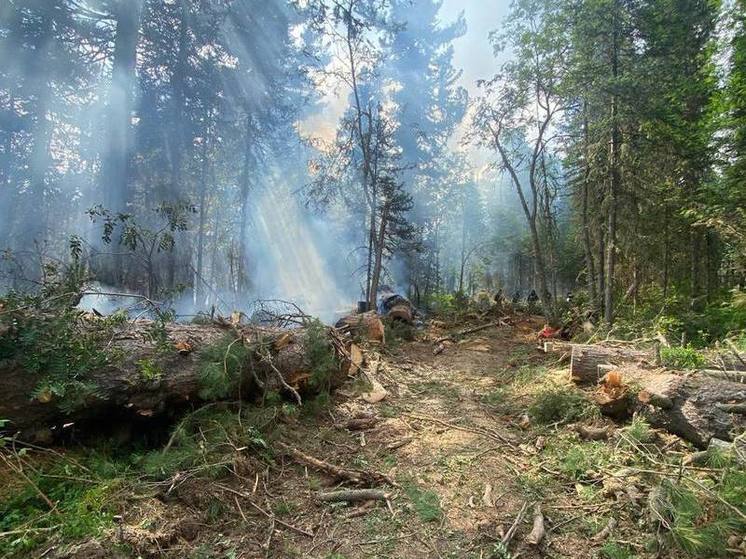 Лесной пожар после сухой грозы в Усть-Абаканском районе Хакасии локализовали
