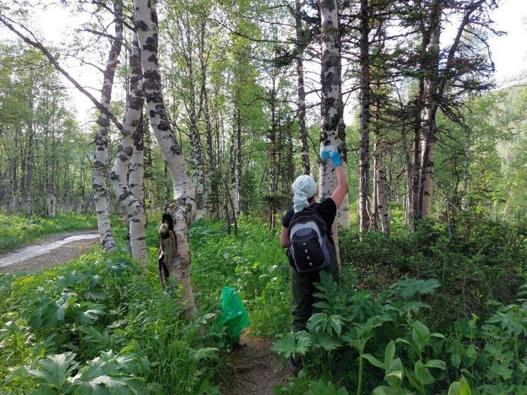 Вдоль экотропы к Ивановским озерам появятся лавочки