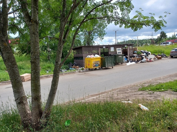 Горы мусора вокруг контейнерной площадки возмутили жителей Петрозаводска