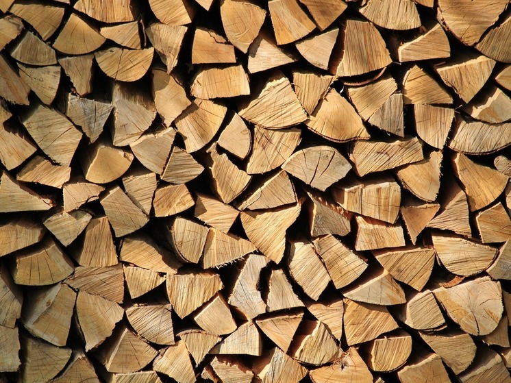 В Коткино не удалось обнаружить визуально плохих дров