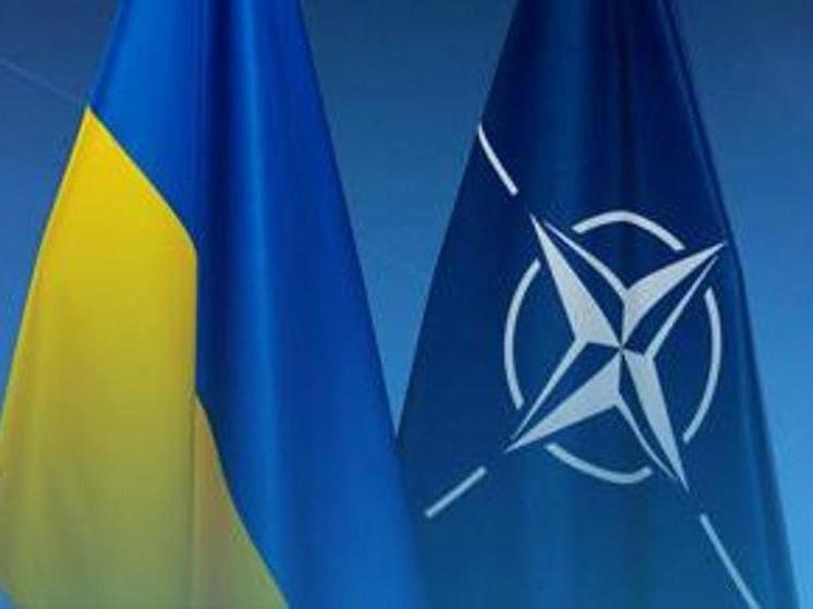 Telegraph: Украину не приглашают в НАТО из-за высокой коррупции в стране