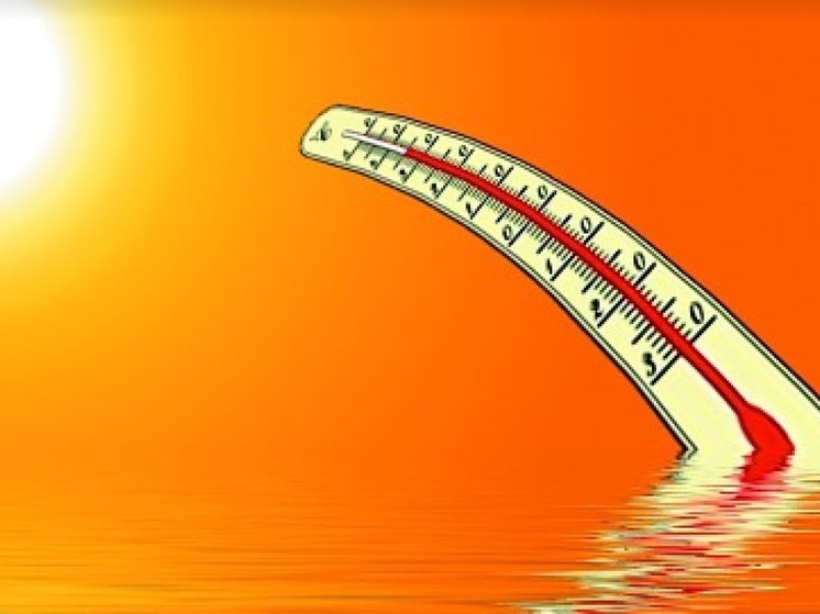 Тишковец: 39 рекордов жары зафиксированы в России за сутки
