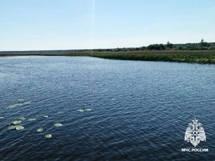 Трагедия на воде: в костромской реке Шача утонул мужчина
