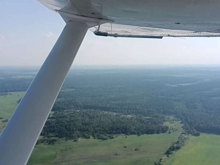 4-ый класс пожарной опасности объявлен сегодня в 6 лесничествах