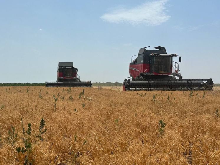 Сальдо назвал основные направления экспорта зерновых из Херсонской области