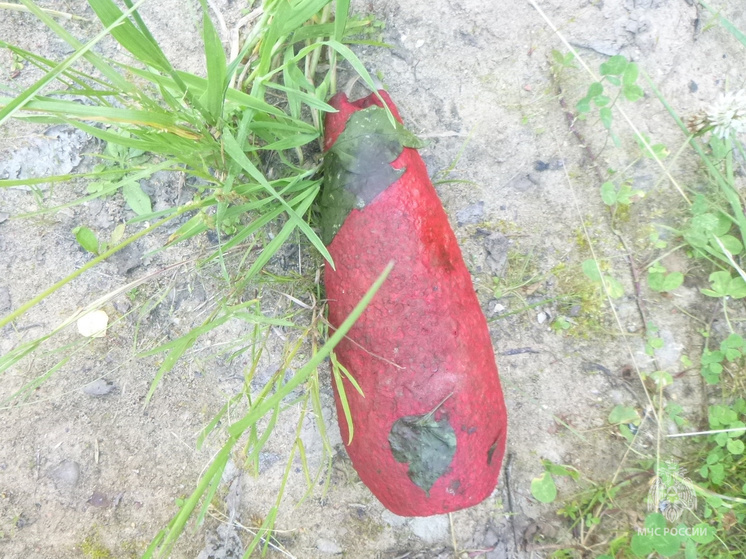 В Тверской области нашли 82-миллиметровую минометную мину красного цвета