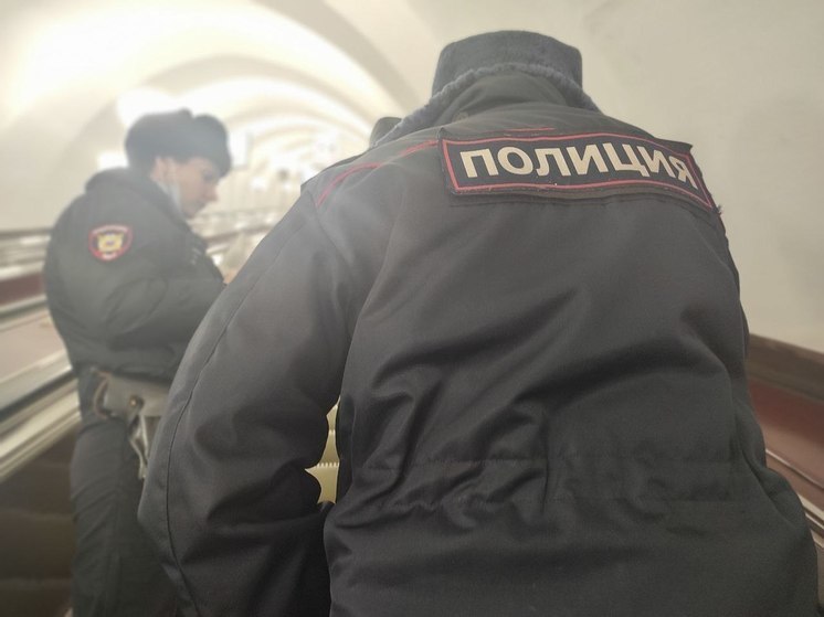 В Сланцах задержан подозреваемый в убийстве матери