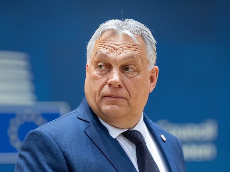Политолог Суздальцев: Орбан станет идеальным переговорщиком по Украине, ведь он представляет НАТО и ЕС