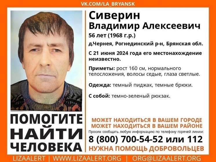 Брянские волонтеры ищут пропавшего 56-летнего Владимира Сиверина