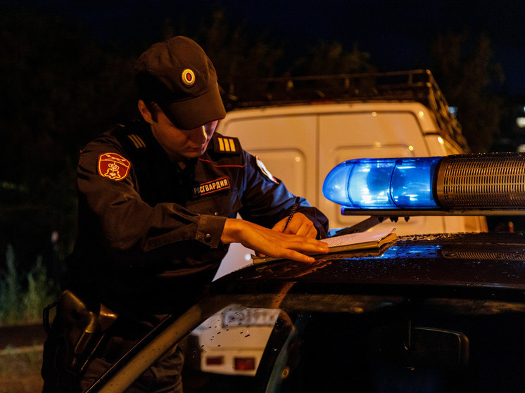 Пьяного водителя и пассажира с наркотиками задержали в Забайкалье