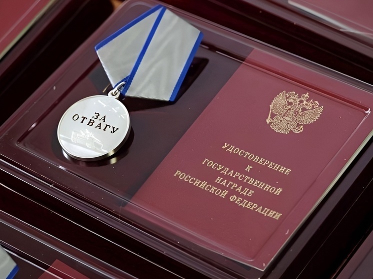 Военнослужащего из Хабаровского края наградили медалью «За отвагу»