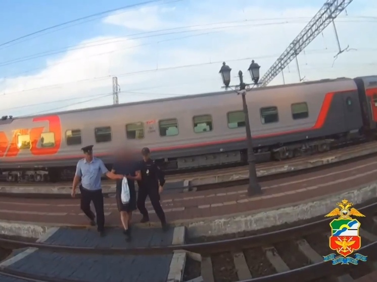 Нетрезвого дебошира сняли с поезда в Белове