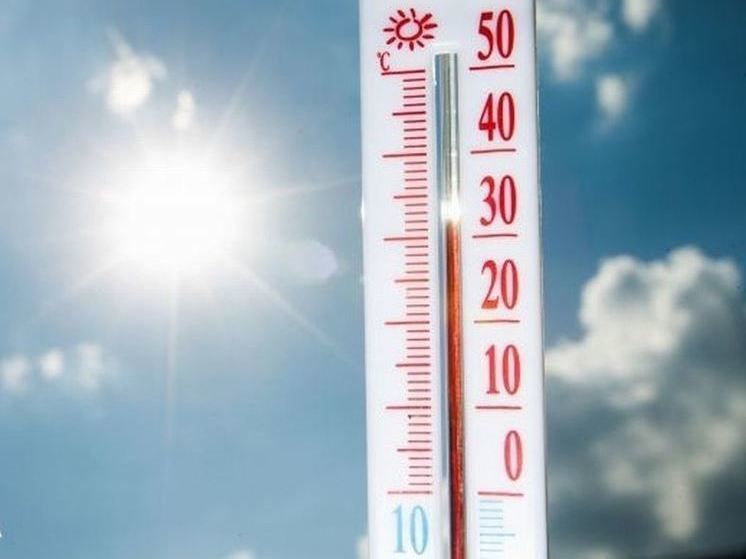 В Орловской области температура воздуха поднимется до плюс 35 градусов