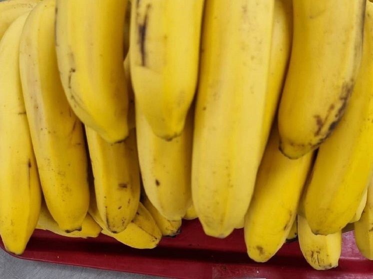 Полиция Эквадора обнаружила в контейнере с направлявшимися в РФ бананами трехтонную партию кокаина