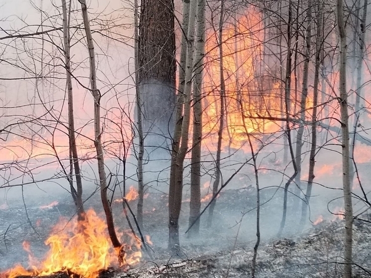 Сухая гроза стала причиной пожара в Каларском округе в Забайкалье