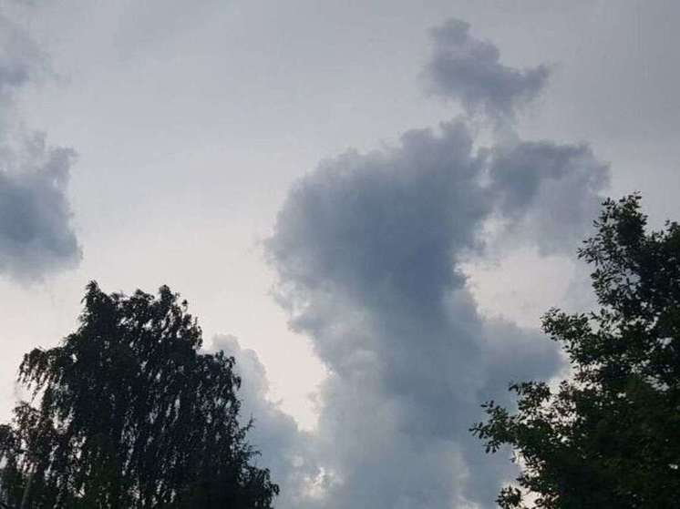 О ветре до 25 м/с в пятницу предупредили жителей Подмосковья