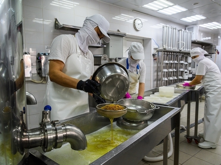 Губернатор Подмосковья заявил, что каждый пятый килограмм отечественного сыра сделан в регионе