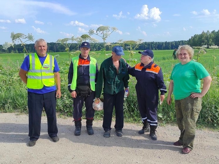 В Подмосковье заблудившегося в лесу грибника заметили с вертолета