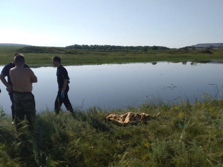 В Челябинской области два 11-летних мальчика утонули в затопленном овраге