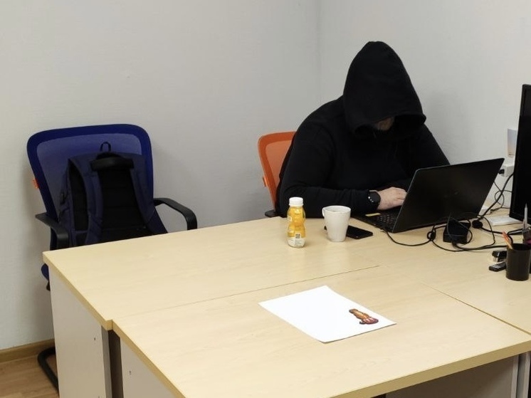 Петербуржцам рассказали о блокировке почти 5 тыс мошеннических сайтов
