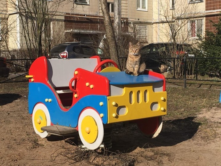 В Мурманске откроют 30 новых детских площадок